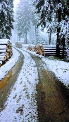 Snowy Road, Winter Love, Winter Magic, Freelance Writer, Winter Beauty, Snow Scenes, Hello World, Winter Pictures