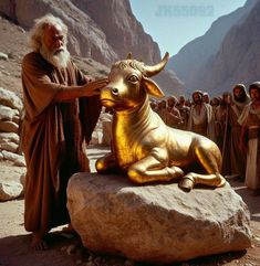 a man standing next to a golden statue of a cow on top of a rock