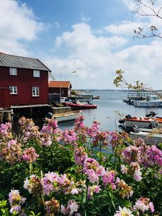 boats are docked in the water next to red houses and pink flowers on the shore