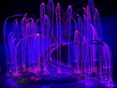 an illuminated tree in the middle of a dark room with purple lights on it's branches