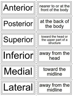 four different types of signs with the words in black and white, including one that says