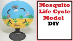 Mosquito Life Cycle Model For Science Project - DIY using cardboard | craftpiller  @howtofunda ​ Science Model, Science Exhibition, Life Cycle Craft, Science Models, Biology Science, Science Project