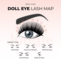 Doll Set Eyelash Extensions, Eye Shape For Eyelash Extensions, Small Eye Lash Map, Lash Extensions On Downturned Eyes, Downturned Eyelash Extensions, Lash Extensions For Deep Set Eyes, Small Eye Lash Extensions Mapping, Doll Eye Mapping Eyelash Extensions, Lash Mapping For Small Eyes