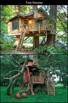 the tree house is built on top of a tree