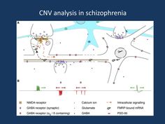 A numbers game – Copy Number Variations in schizophrenia Numbers Game, Number Games, Vogue