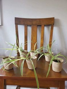 four potted plants sitting on top of a wooden table