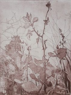 this is a drawing of some plants and trees