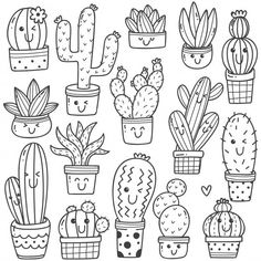 hand drawn cactus and succulents