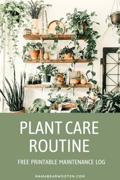 plants and potted plants on shelves with text overlay that reads plant care routine free printable maintenance log