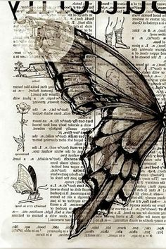 a drawing of a butterfly on an old book page