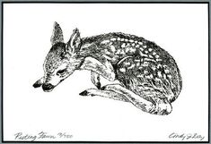 a black and white drawing of a deer laying down