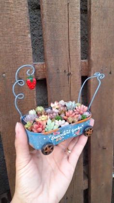 a hand is holding a small blue container filled with tiny flowers and plants in front of a wooden fence