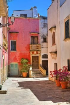 an alleyway with potted plants and flowers on either side, surrounded by buildings