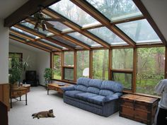 a living room filled with furniture and windows covered in wood shingles, while a cat lays on the floor