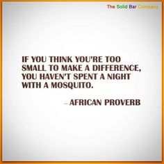 an african prove that reads if you think you're too small to make a difference, you haven't spent a night with a mosquito