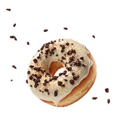 a donut with white frosting and chocolate sprinkles