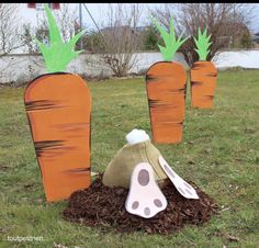 some carrots are sitting in the grass