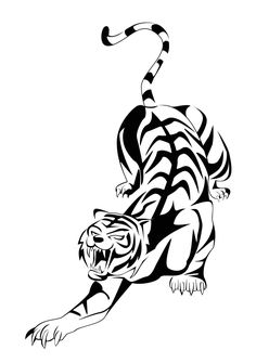 Tiger illustration design 14300036 Vector Art at Vecteezy