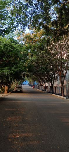 an empty street lined with trees and fence