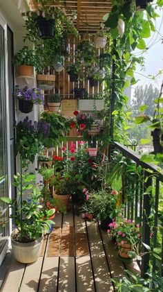 the balcony is filled with potted plants and flowers