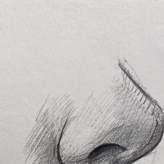 a pencil drawing of a horse's nose