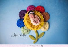 a newborn baby in a yellow flower surrounded by multicolored yarns on a blue background