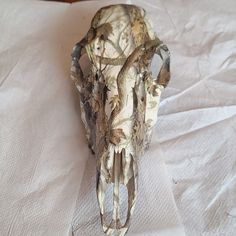 an animal skull is sitting on a white sheet