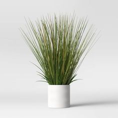 there is a plant in a white vase on the table, it looks like grass