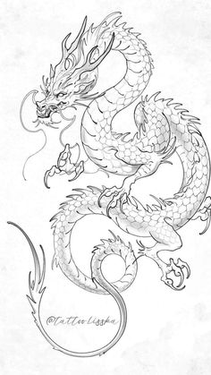 a black and white drawing of a dragon