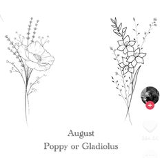 an image of two flowers with the words august poppy or gladiolus on it