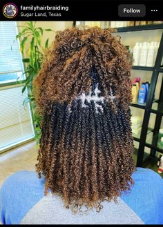 Trendy Twist Hairstyles, Afro Kinking Hair Styles, Temporary Microlocs, Lock Twist Hairstyles, Goddess Mini Twists, Micro Twists Styles, Afro Twist Hairstyles Short Natural Hair, Colored Micro Locs, Short Twist Braids Hairstyles Senegalese