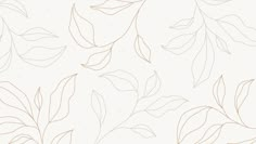 a white and beige wallpaper with leaves on the left side, in an abstract manner