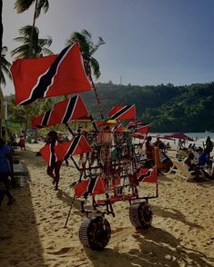 a group of people standing on top of a sandy beach next to a red and black flag