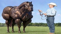 a man standing next to a brown horse on top of a green grass covered field