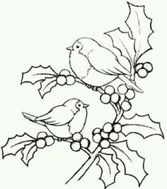 two birds sitting on a holly branch with berries