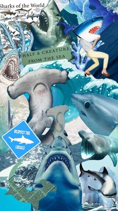 the sharks of the world are depicted in this collage