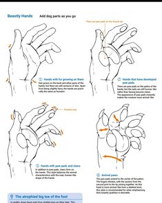 instructions for how to draw hands in japanese