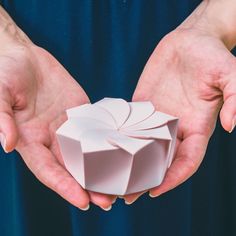 two hands holding an origami object in their palms