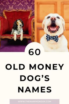 an old money dog's names