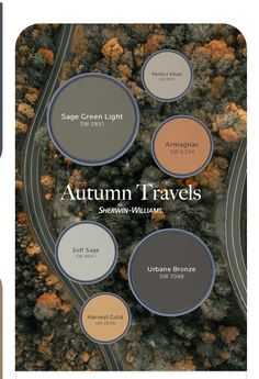 an overhead view of autumn travels with the words, safe green light and warm tones