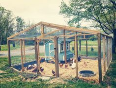 an outdoor chicken coop with chickens in it