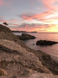 the sun is setting over the ocean with rocks and trees in the foreground,