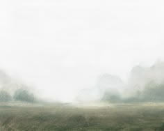 an abstract painting of grass and trees in the distance, with fog coming from them