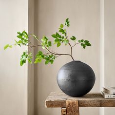 a black vase sitting on top of a wooden table next to a bookshelf