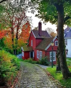 a red house in the fall with leaves on the ground and trees lining the street