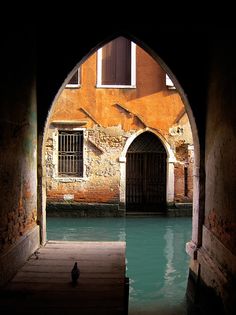 an arched doorway leading into a canal with a bird sitting on the ground in front of it