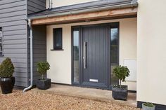 two potted plants are on the side of a house with grey doors and windows