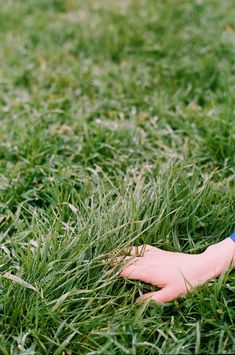 a hand reaching for a frisbee in the grass