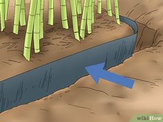 an image of a stream in the ground with bamboo trees growing out of it and blue arrow pointing up