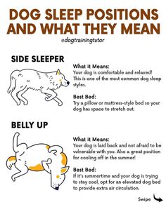 a poster with instructions on how to use dog sleep positions and what they mean